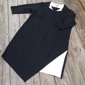 Laura Tanzer Asymmetrical Hem Dress, 2X